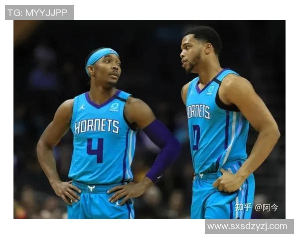 2月13日森林狼对阵黄蜂精彩直播回顾与赛后分析