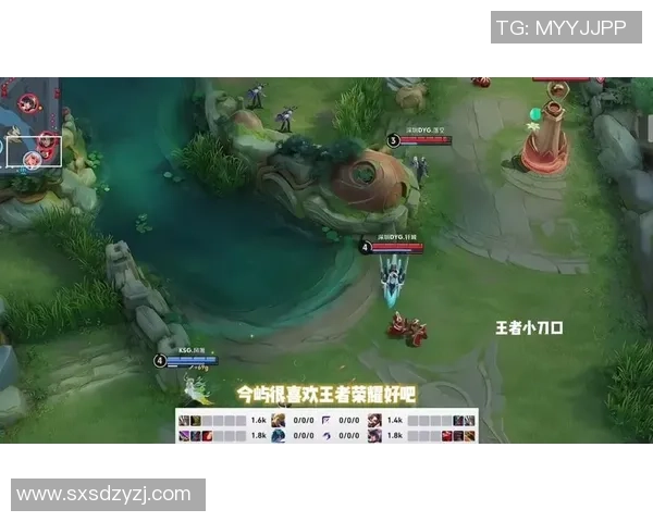 王者荣耀热议：JDG耐力表现引发的争议与讨论分析